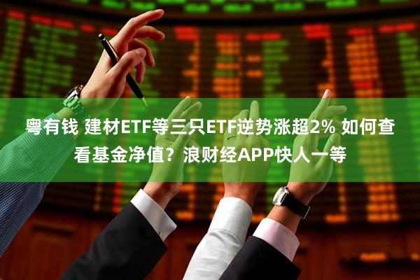 粤有钱 建材ETF等三只ETF逆势涨超2% 如何查看基金净值？浪财经APP快人一等