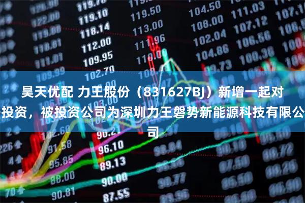 昊天优配 力王股份（831627BJ）新增一起对外投资，被投资公司为深圳力王磐势新能源科技有限公司