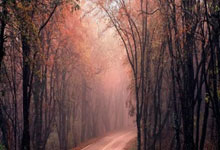 科创板股票怎么开户怎么买股票:配资之家网站-美国突发警告！特朗普叫停49亿美元对外援助